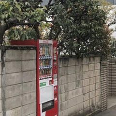 before you follow